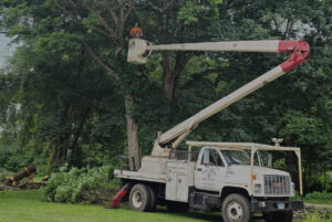 tree trimming Norwich CT